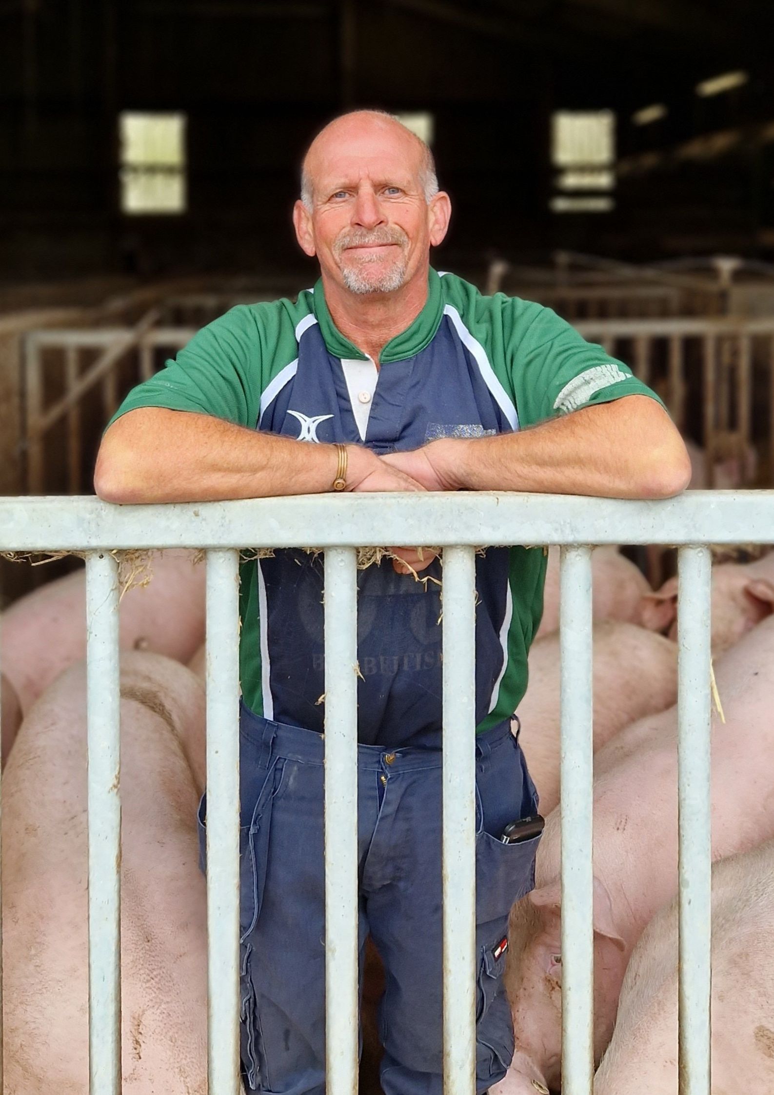 Tim Bradshaw with sows in barn